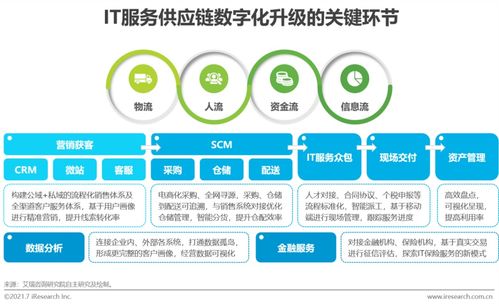 2021年中国IT服务供应链数字化升级研究报告 聚焦数字内容制作服务